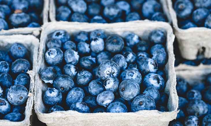 blueberry-fellowship